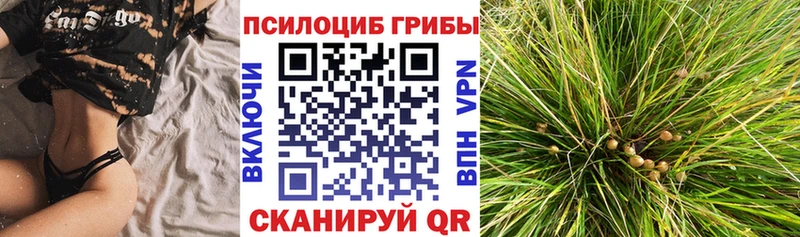 Купить где  Еманжелинск  Галлюциногенные грибы Psilocybe 
